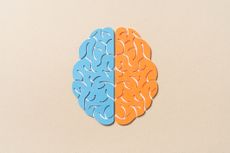 Two sides of the brain representing rivals