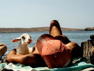 A man laying on the beach wearing a red cap with a baby goat under one arm.