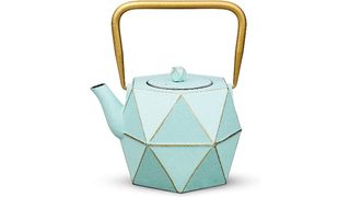Toptier cast iron teapot