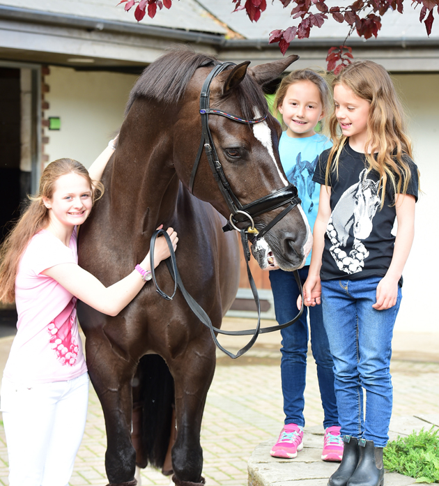 valegro t-shirt