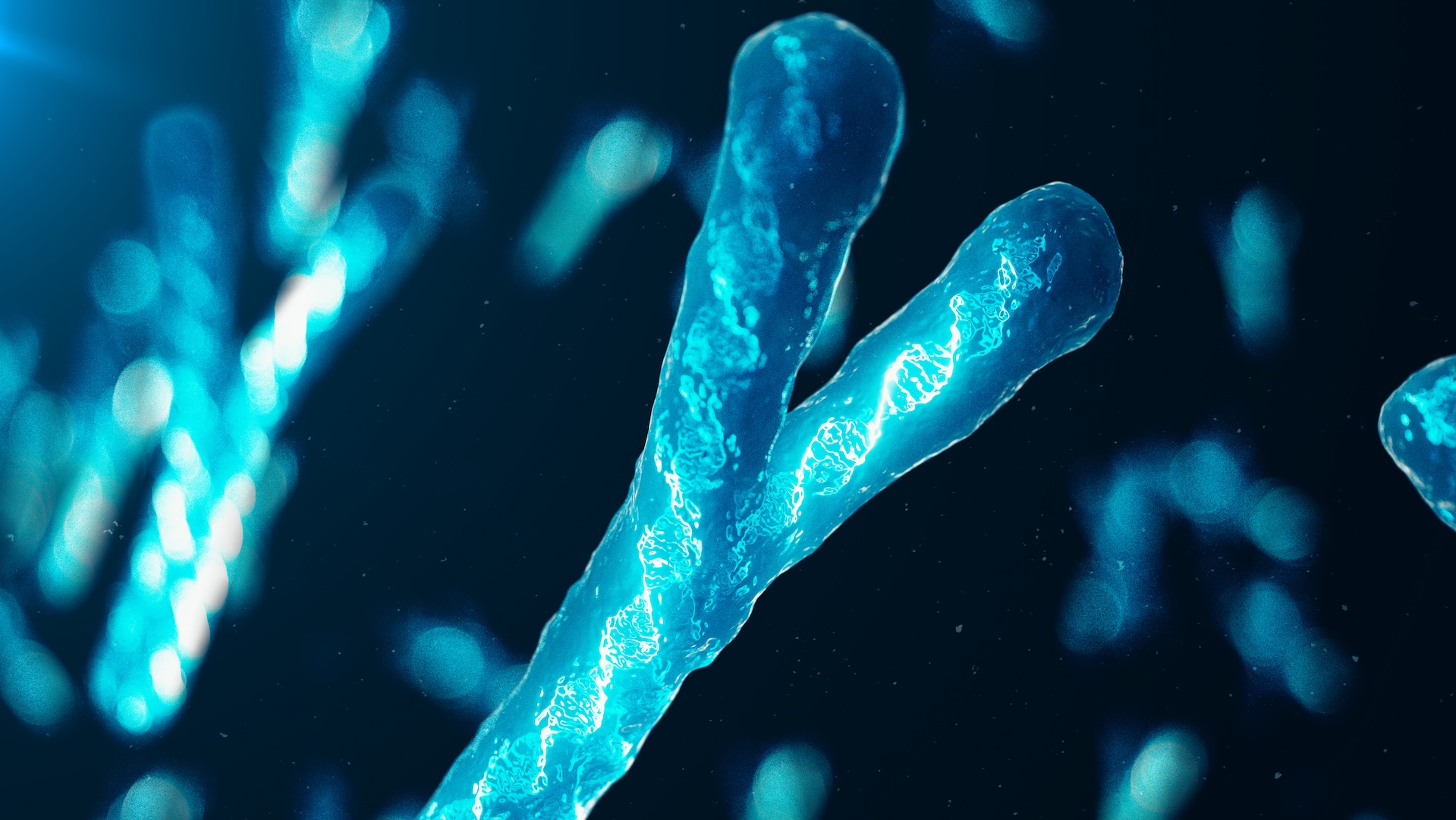 gráfico de um cromossomo Y azul