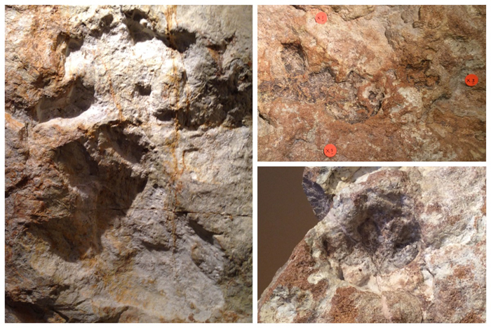 Real-life views of the same adult and baby tracks