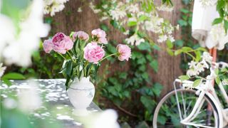 Pink peonies in a white vase in a garden next to a bicycle and climbing vines.