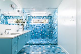 blue and white y2k bathroom with double shower