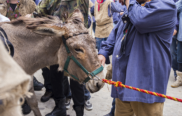 Peropalo 2017 (5) Copyright - The Donkey Sanctuary