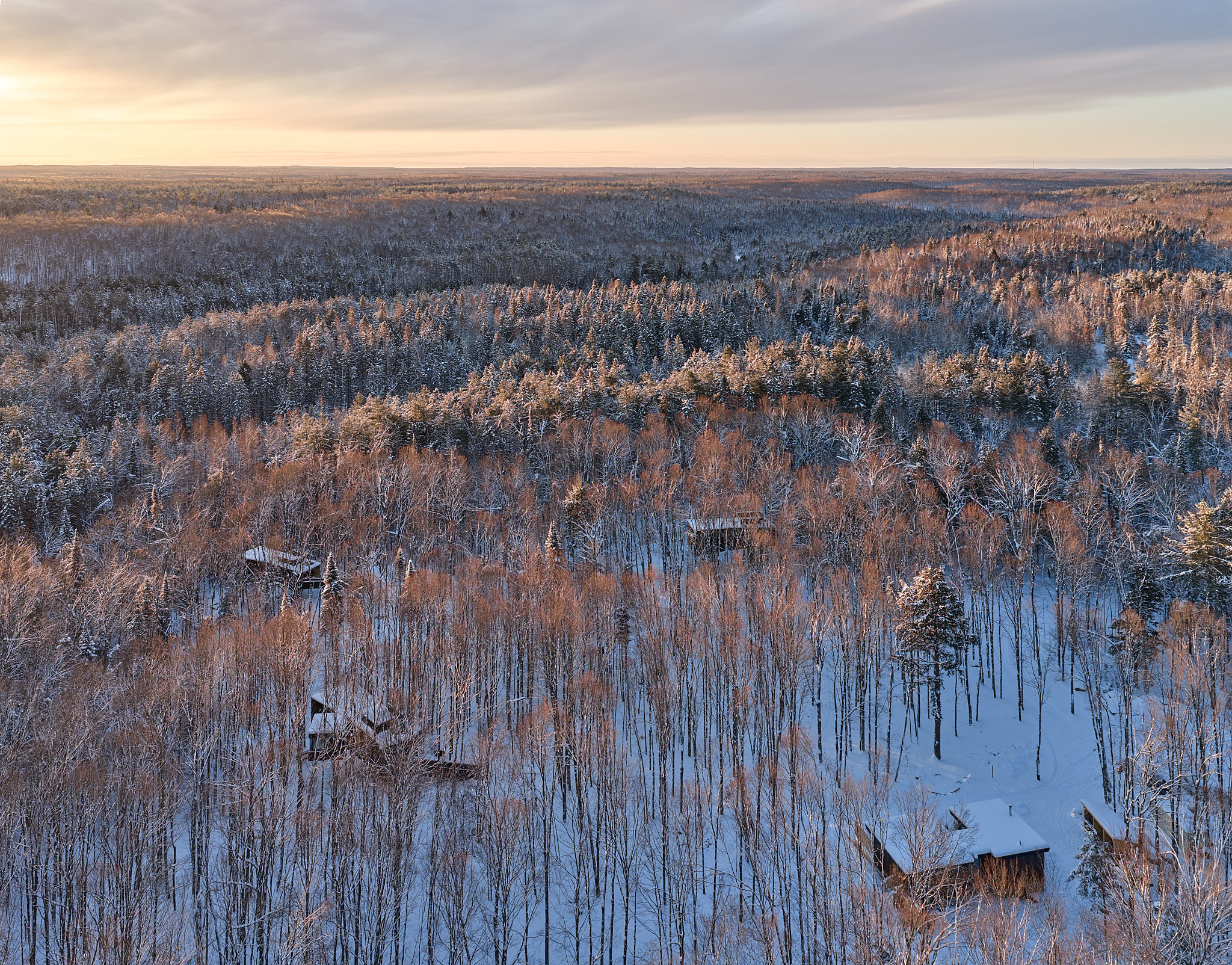 fort treehouse hartwood ontario canada