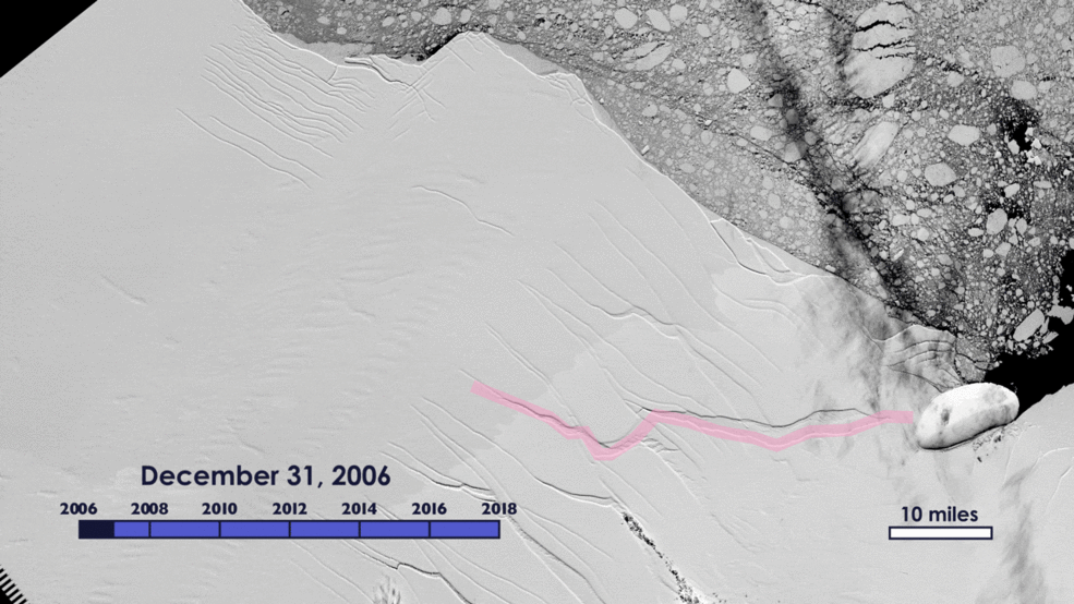 Animation of the growth of the crack in the Larsen C ice shelf, from 2006 to 2017, as recorded by NASA/USGS Landsat satellites.