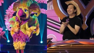 Showbird and Ken side by side image on The Masked Singer