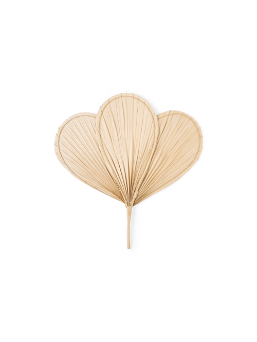 Palm Leaf Deco Fan