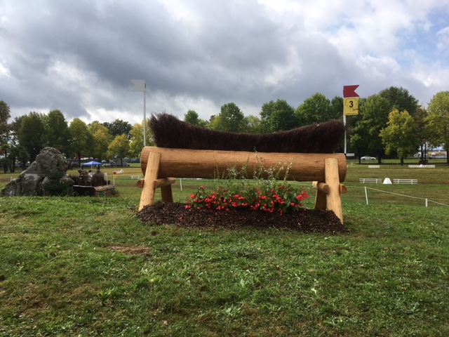Fence 3