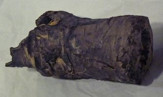 nefertiti's mummy