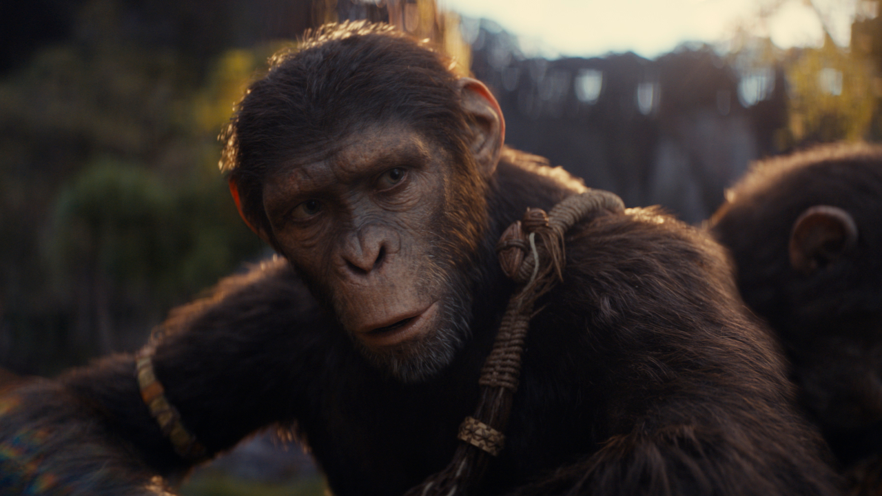 Noa looks forward with a face of curiosity in Kingdom of the Planet of the Apes.