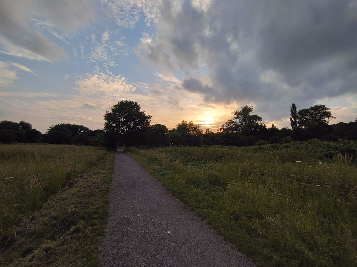 A sunset shot on the Xperia 10 III