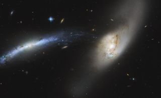 The Hubble Space Telescope photographed a galaxy cannibalizing its smaller neighbor.