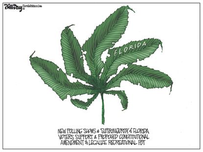 Political Cartoon Marijuana Legalization Florida Constitutional Amendment
