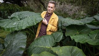 Chris Packham in a mustard jacket stands amongst Elephant’s Ear leaves in Kok’e National Park on Kauai, Hawaii in Earth.