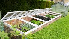 Cold frame made of brick, glass and wood