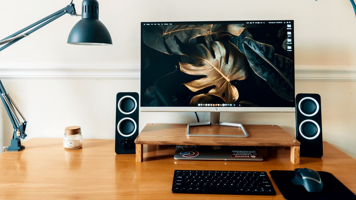 Best USB-C monitors for PC