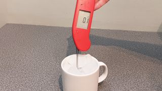 Thermapen ONE Ice Challenge