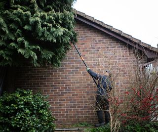 man cutting down overgrown tree at side of brick house