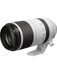 Canon RF 100-500mm f/4.5-7.1L IS USM