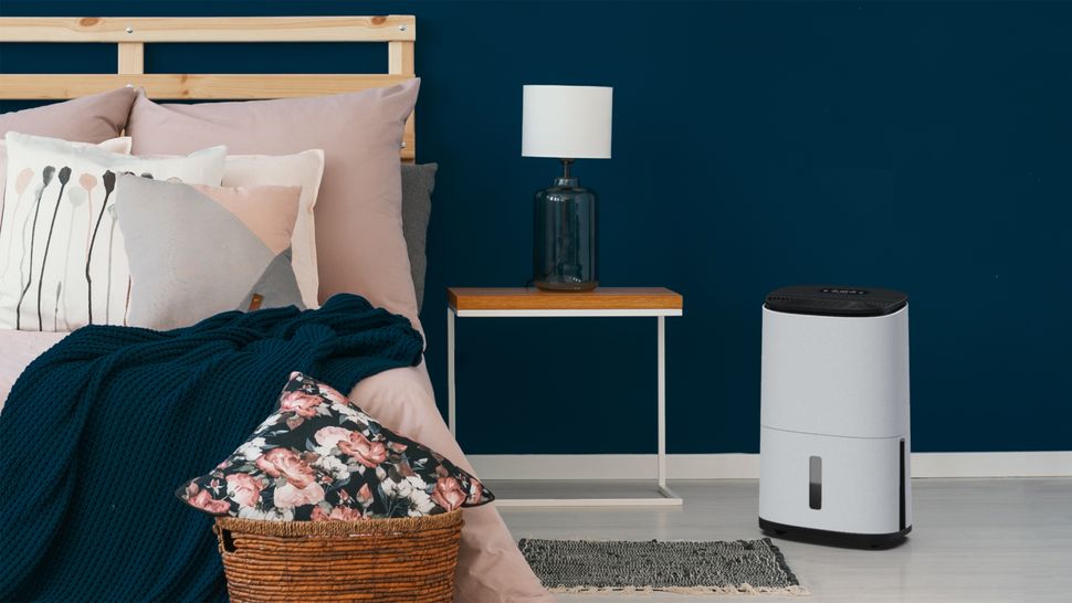 How do dehumidifiers work and could they help dry clothes? Homebuilding