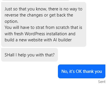 An image of a chat between the author and support