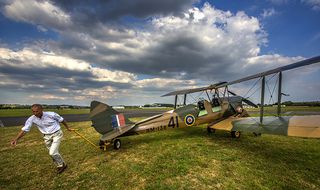 Tiger Moth