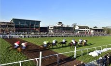 Taunton racecourse