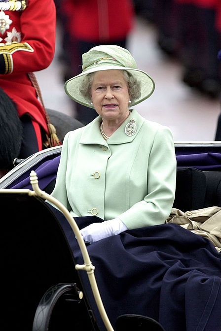 Horse harness, Horse, Rein, Bridle, Horse tack, Event, Tradition, Carriage, Uniform, Vehicle,