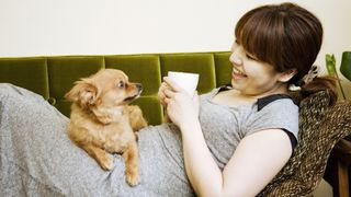 Chihuahua sitting on woman's lap; she's drinking tea