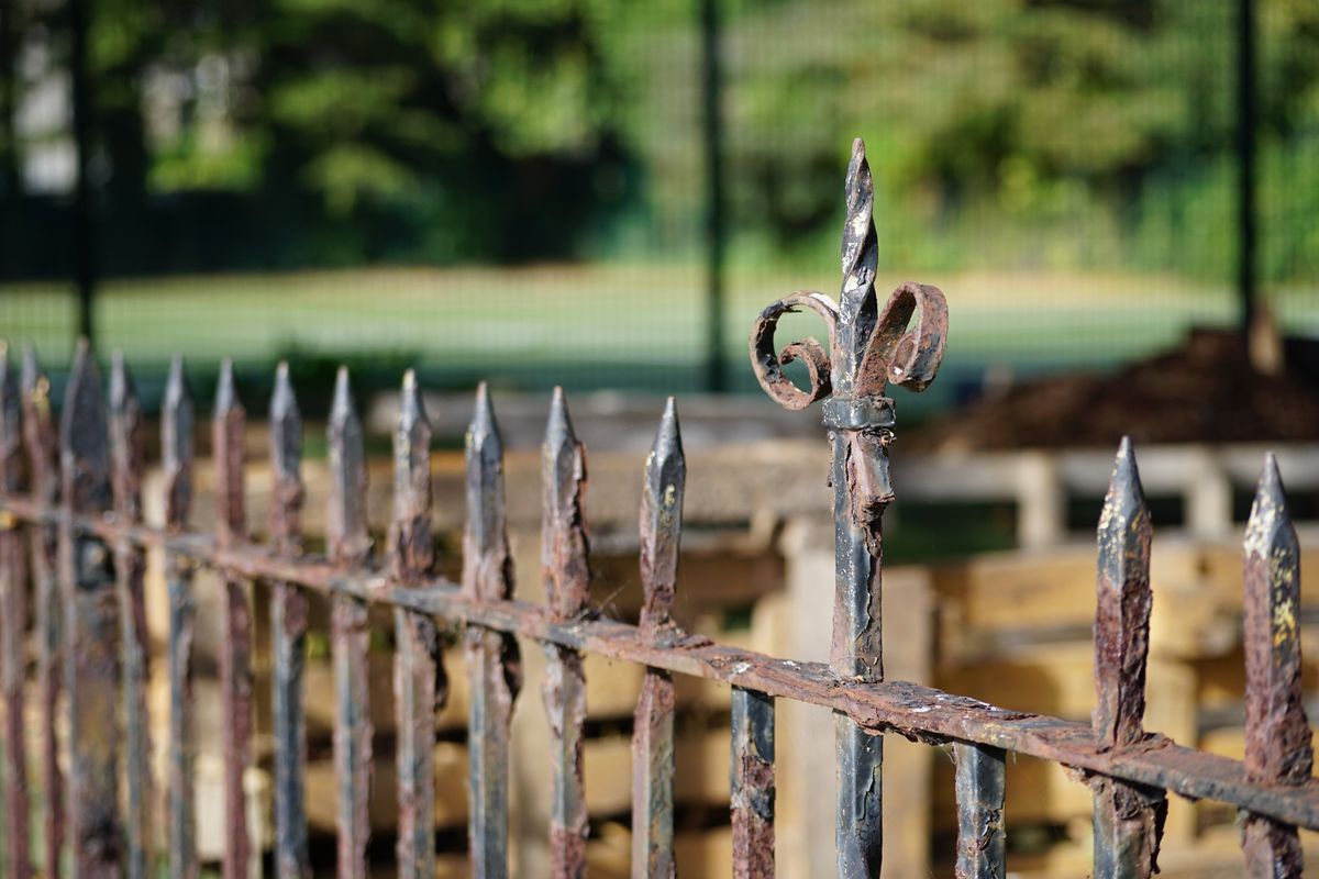 Sigma 50-120mm f/2.8 DC OS | C sample image