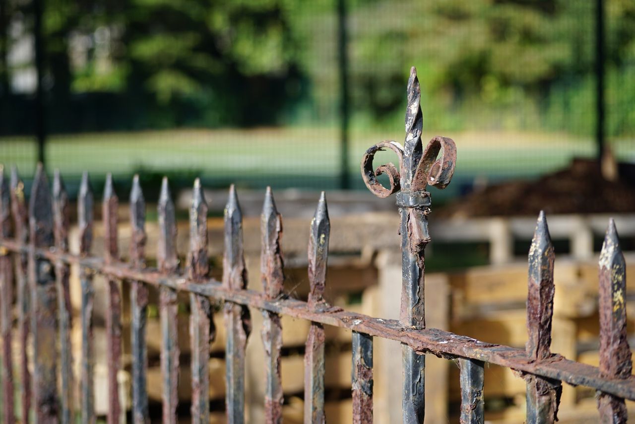 Sigma 50-120mm f/2.8 DC OS | C sample image