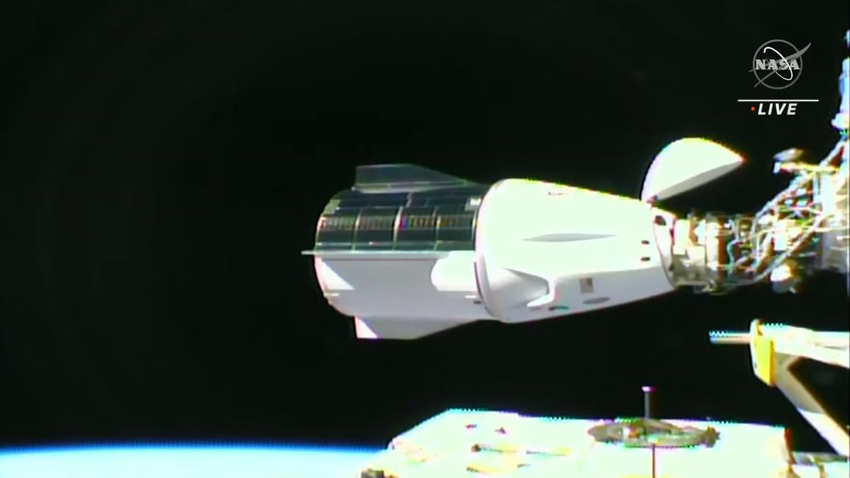 SpaceX's Crew Dragon Endurance arrives at space station with four Crew-3 astronauts