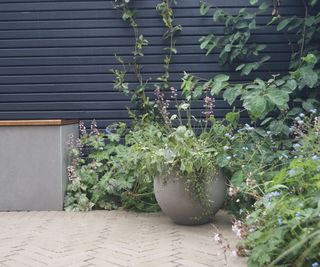 A dark blue painted horizontal slatted fence in a garden