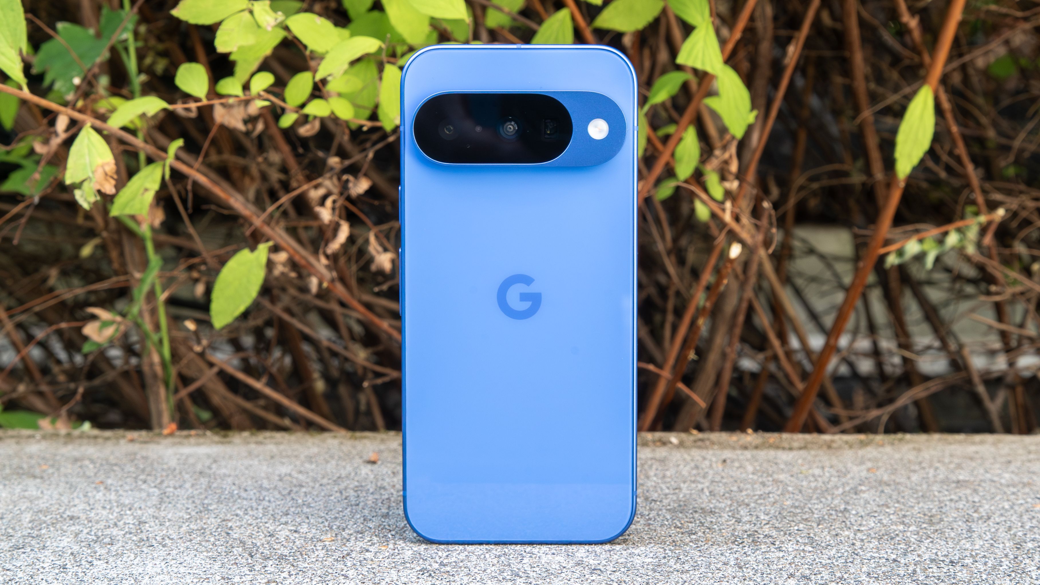 Pixel 10 in front of a bush