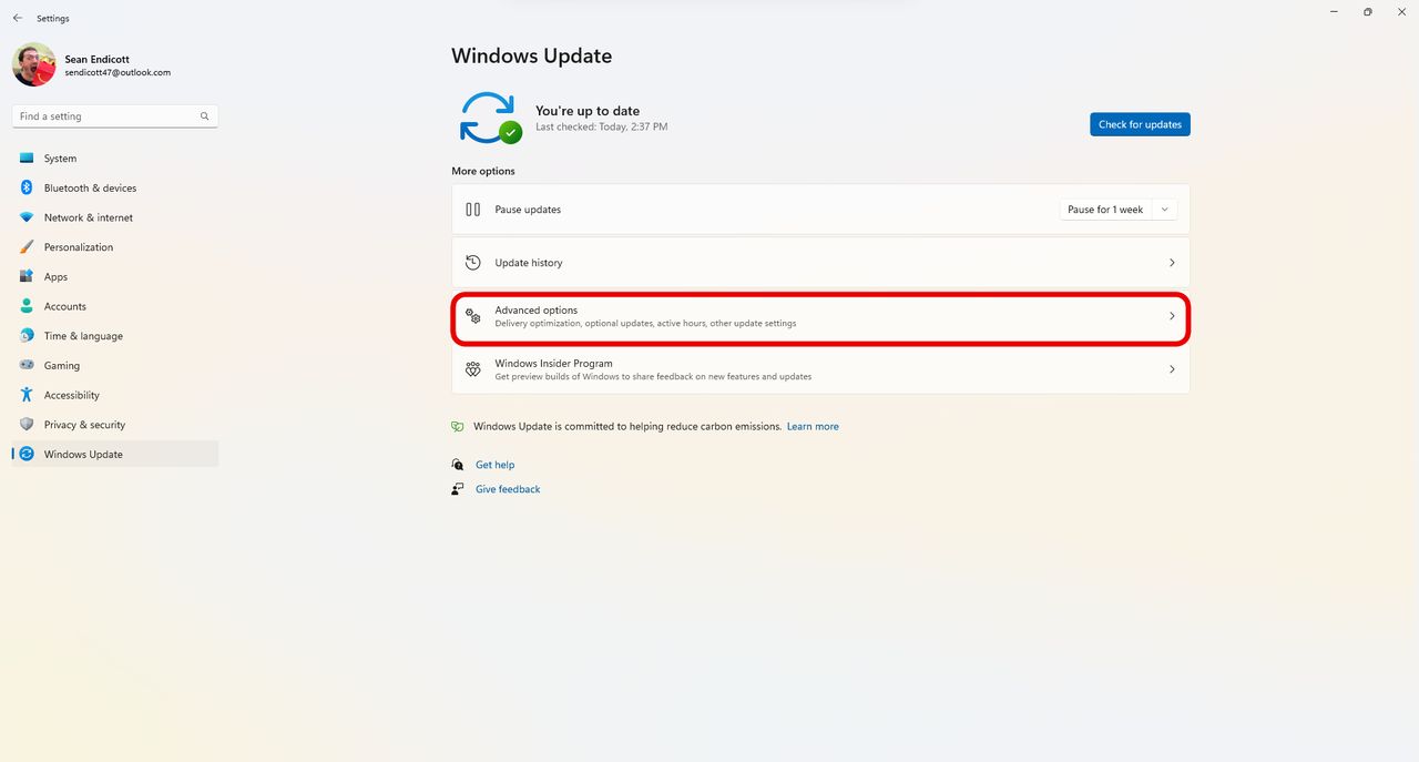 Windows 11 check for optional update