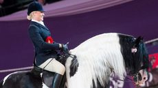HOYS19_COLOURED_HORSE_AND_PONY_OF_THE_YE_355110532_403888981.jpg