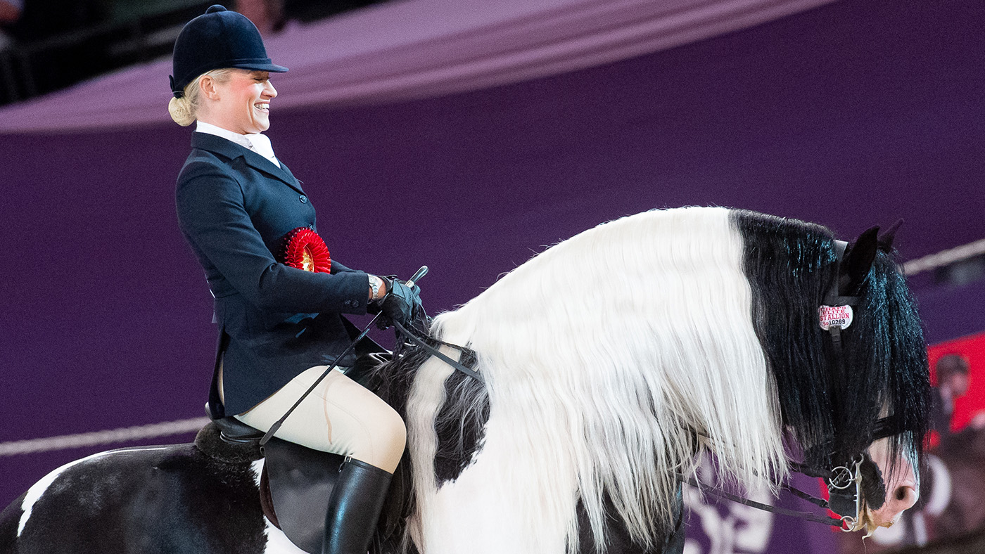 HOYS19_COLOURED_HORSE_AND_PONY_OF_THE_YE_355110532_403888981.jpg