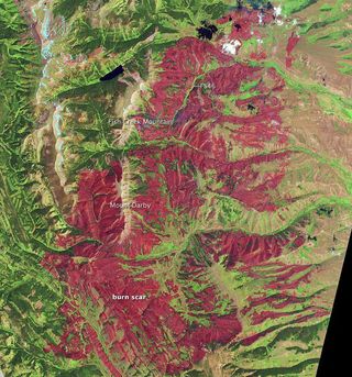 On July 4, a satellite captured the burn scar Wyoming's Fontenelle Fire has left behind.