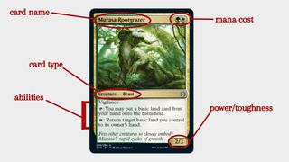 Anatomy of a Magic The Gathering card, location of power/toughness, mana cost, and card type.