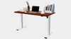 Flexispot EC1 Adjustable Desk