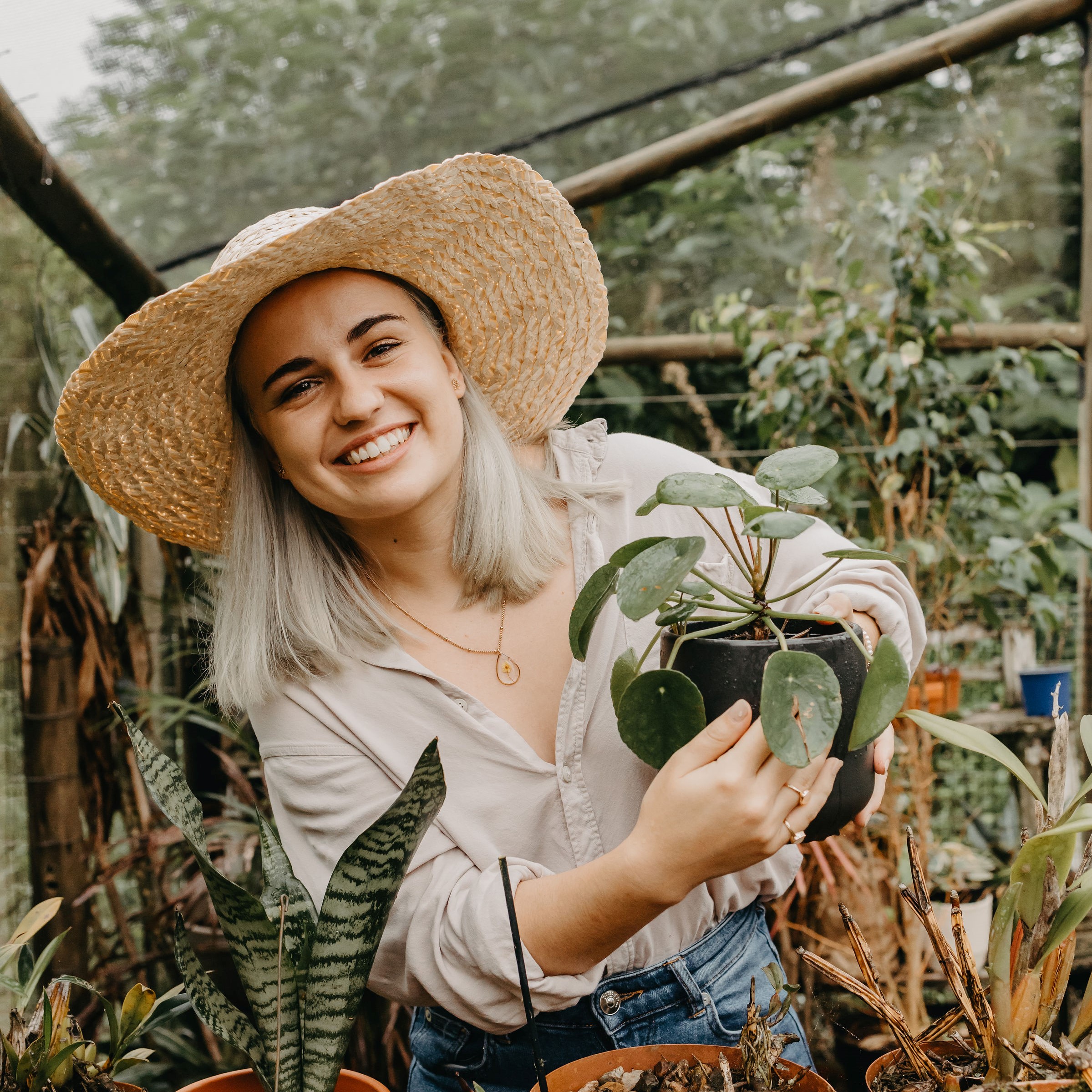 The Best Beginner's Guide to Spider Plant Care (Chlorophytum Comosum) –  Garden Betty