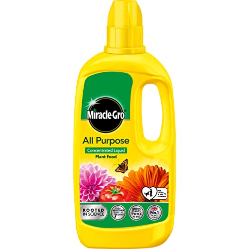 Miracle Gro All Purpose Concentrated Liquid Plant Food, 800ml