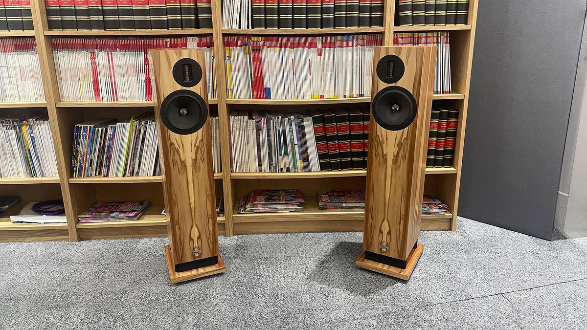 ProAc D20R floorstanding speakers on grey carpet in front of bookcase