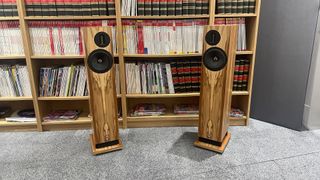 ProAc D20R floorstanding speakers