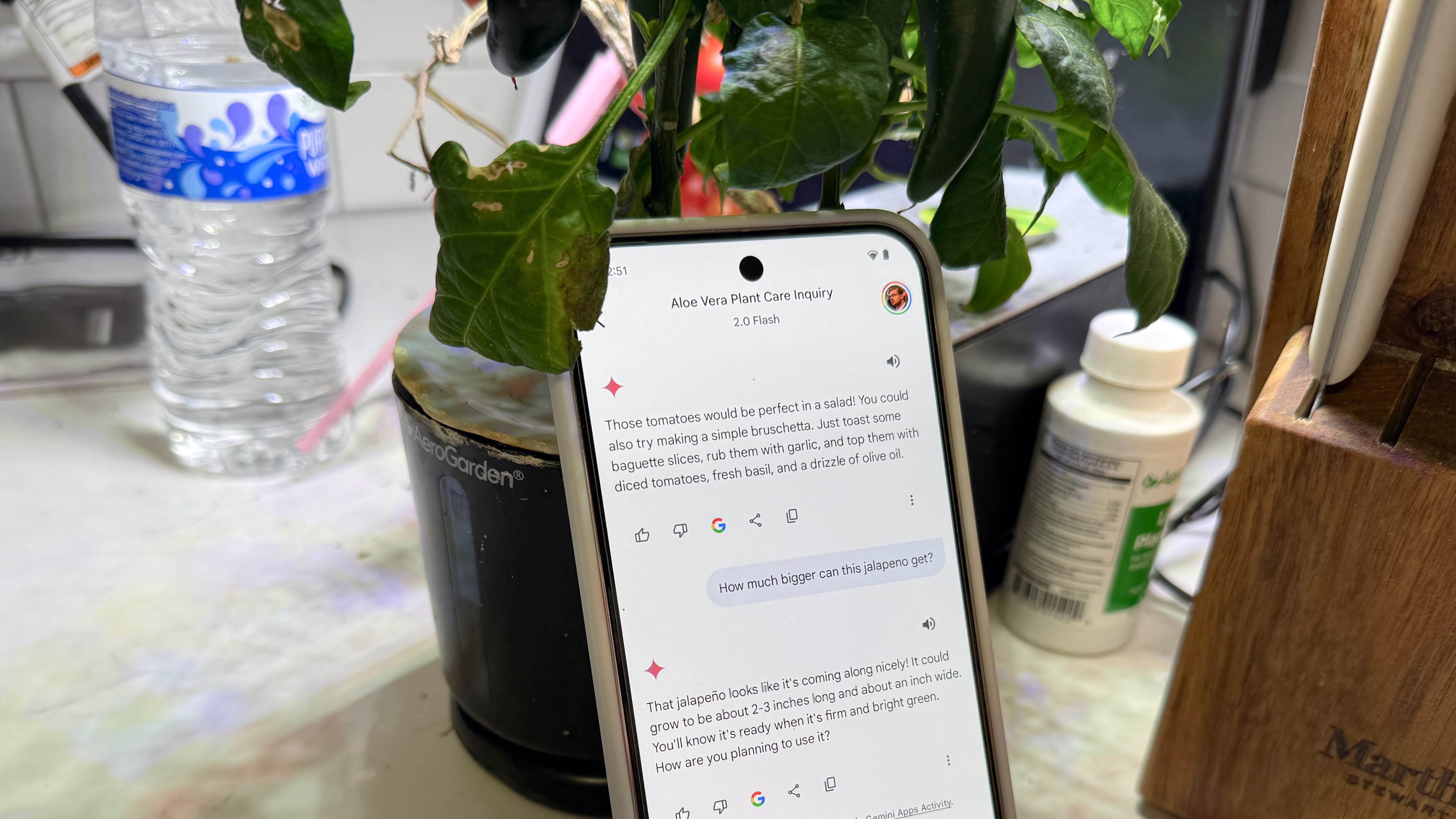 Using Gemini Live to grow plants and diagnose problems.