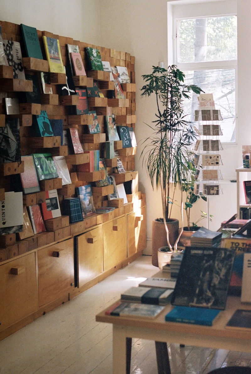 An industrial-chic bookstore captures at golden hour features stacked shelves carved from wood into a grid-like composition, thriving plants, and colorful collectibles.