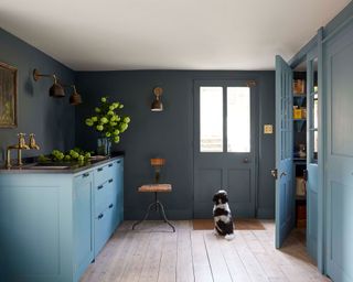 Designing a modern kitchen illustrated in an all blue scheme with wooden flooring and a small dog by the door.
