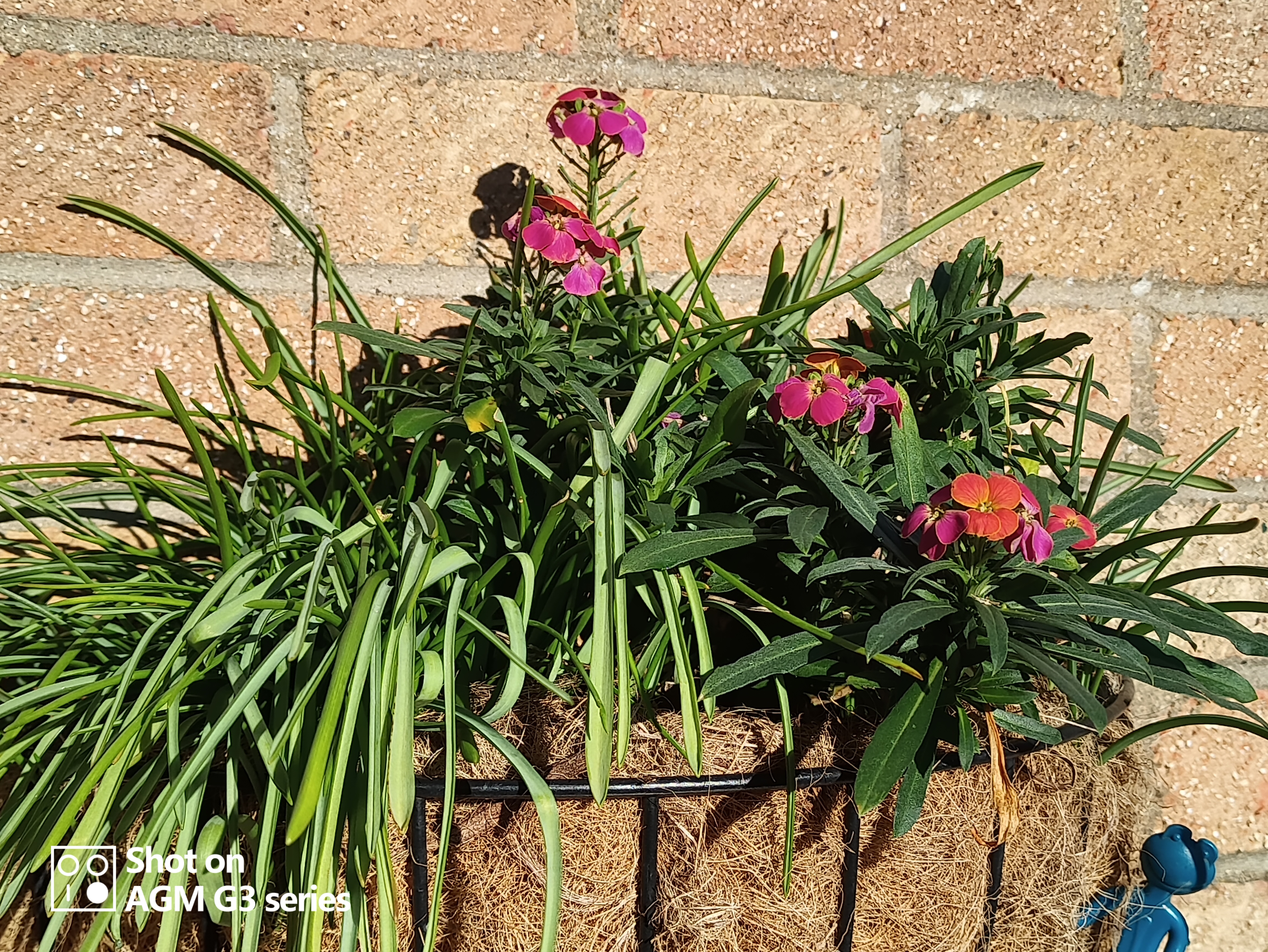 AGM G3 Pro photo and thermal examples